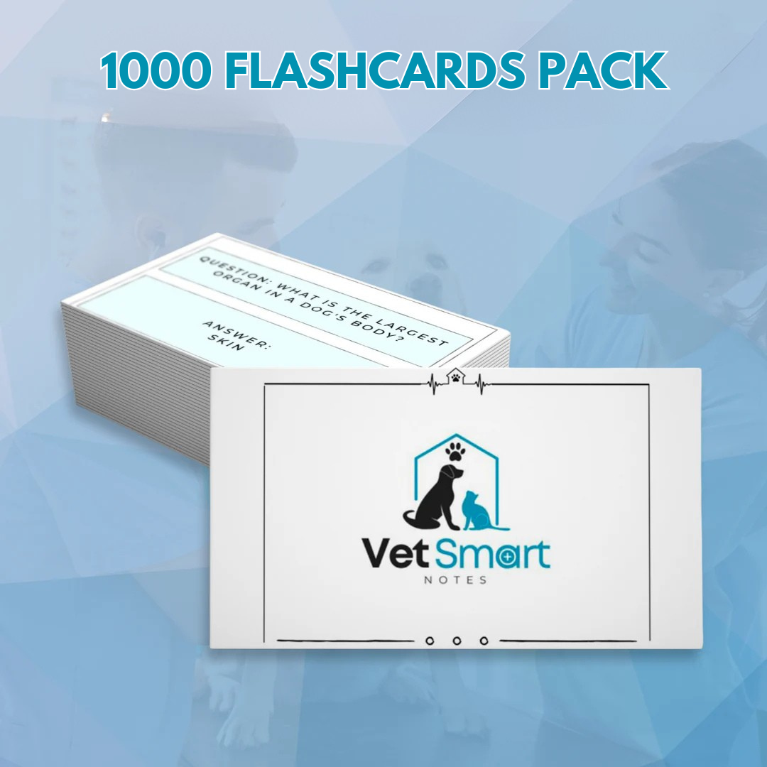 NEW!!!!📢📢📢 📚 The Ultimate Veterinary Flashcards Bundle – 1000+ Pages! 🐾