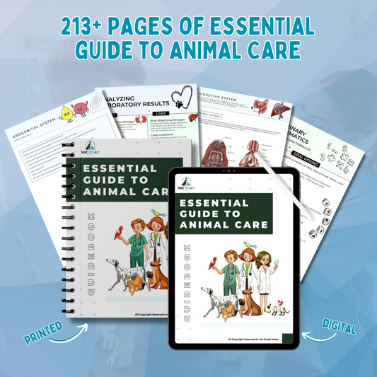 A Deep Dive into Canine and Feline Anatomy: Essential Knowledge for Veterinary Students