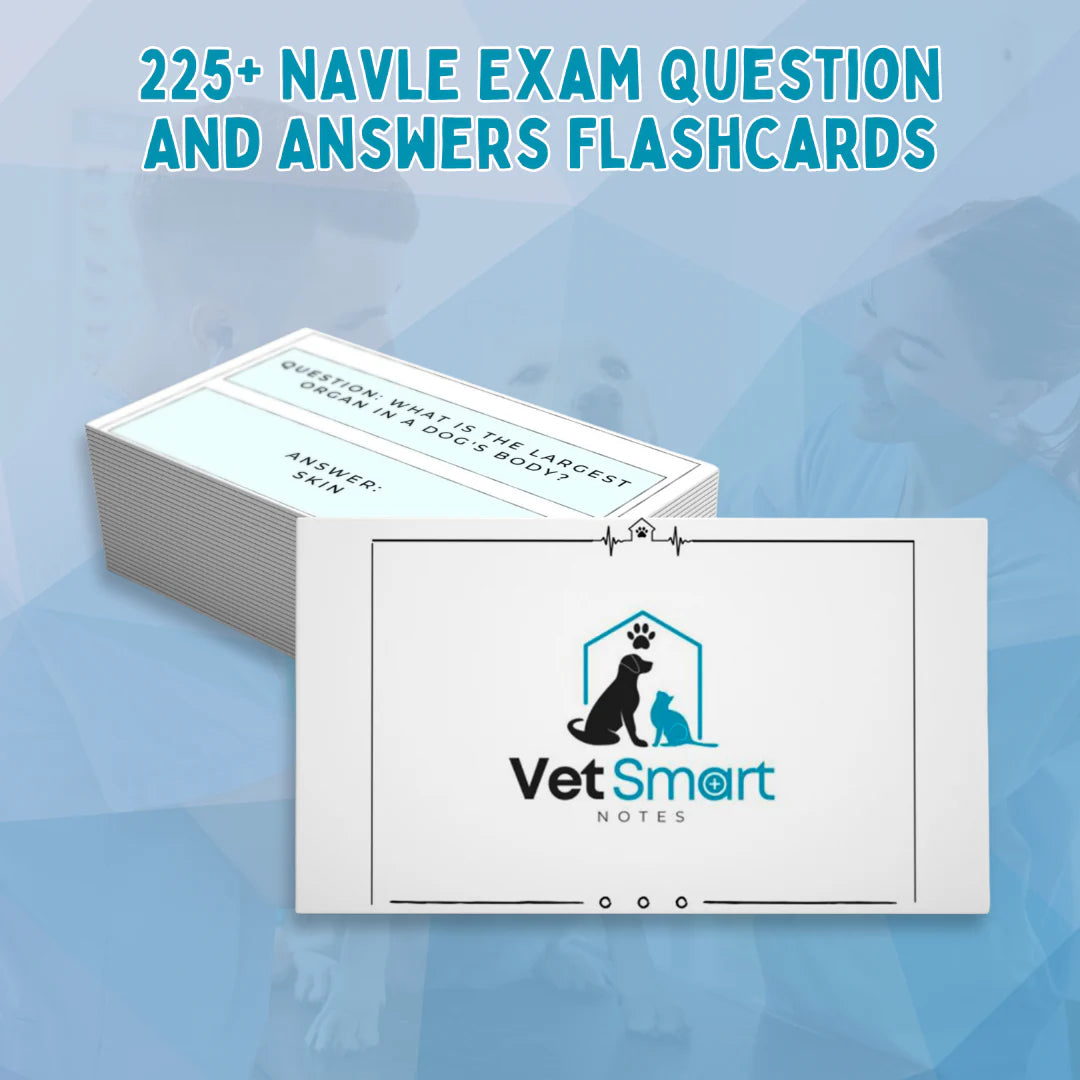 225+ NAVLE EXAM QUESTION AND ANSWER FLASHCARDS