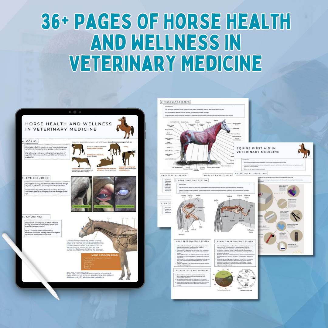 36+PAGES OF HORSE HEALTH AND WELLNESS