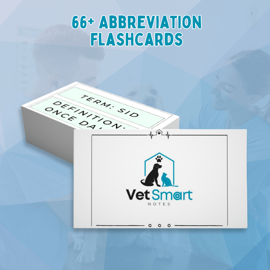 The Vet Study Bundle Digital & Printable Version – VET SMART NOTES