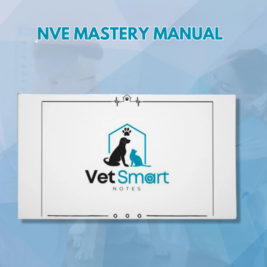 AVE/NVE Study Bundle – 3 Resources for the Price of 1